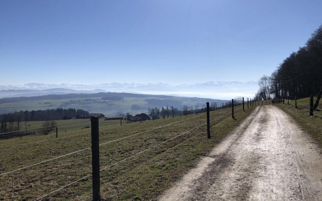 Wanderung Hasenberg/ Egelsee (AG) – Aussicht, errastischer Block & Badesee