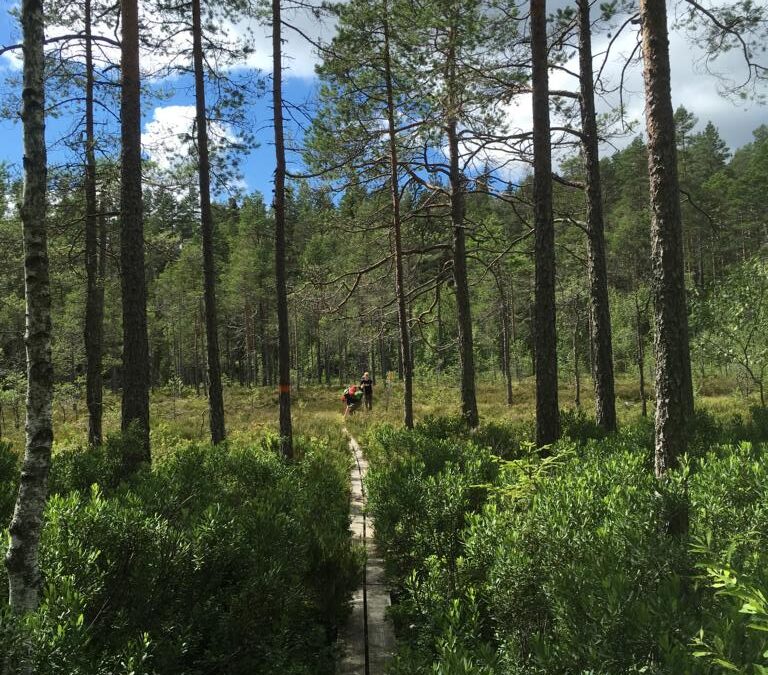 Trekkingtour im Naturreservat Glaskogen – Schweden im Sommer 2019