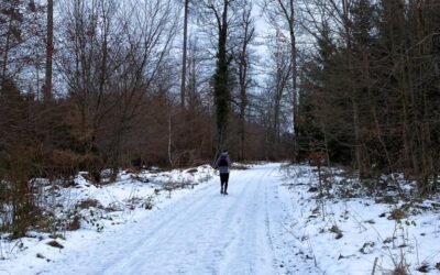 Weiher, Wälder, Weinberge