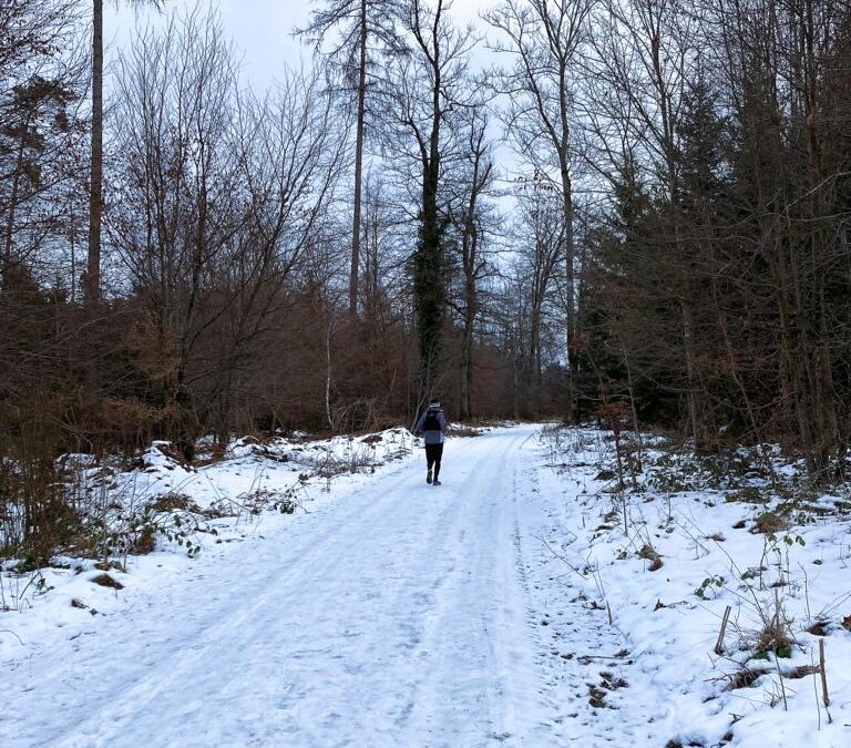 Weiher, Wälder, Weinberge